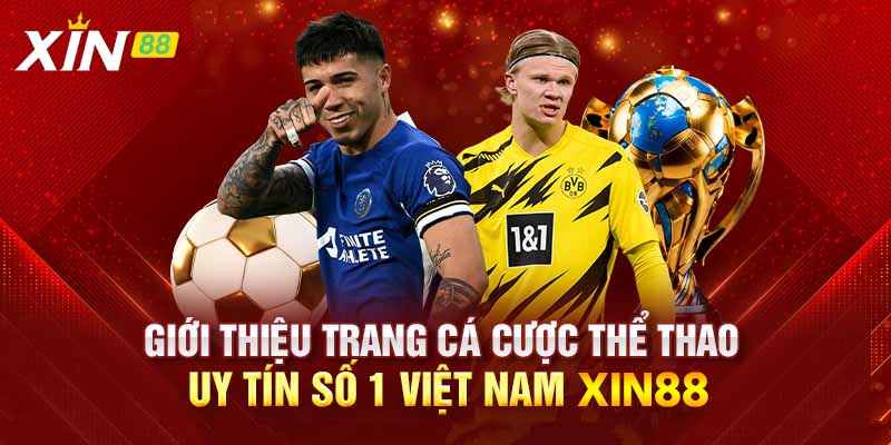 Nền tảng thu hút nhiều tay chơi cá cược thể thao hiện nay