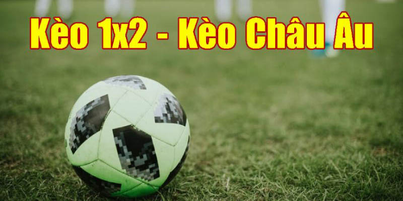 kèo châu âu nhà cái thể thao Xin88